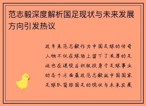范志毅深度解析国足现状与未来发展方向引发热议