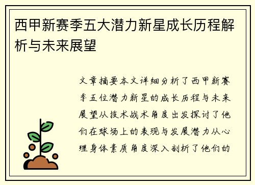 西甲新赛季五大潜力新星成长历程解析与未来展望